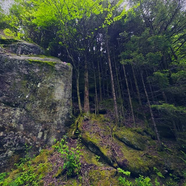 Devil's Courthouse Tunnel - Image 1