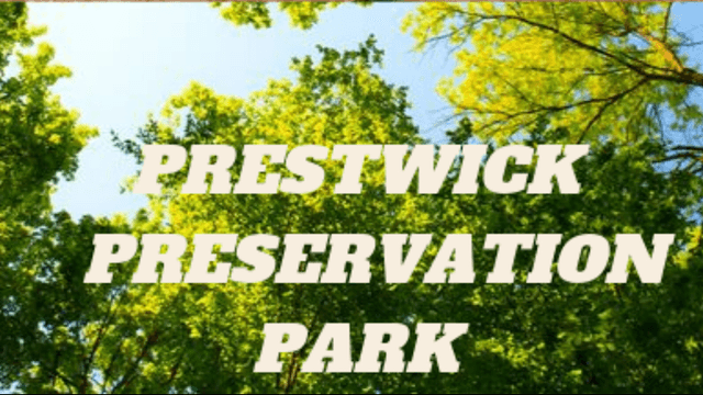 Prestwick Preservation Park - Image 1
