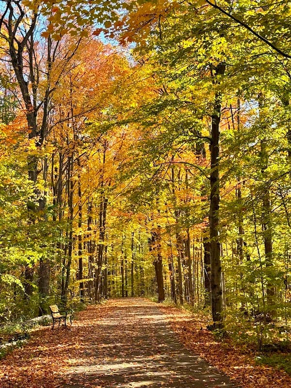 Heber Down/Cullen park trail - Image 1