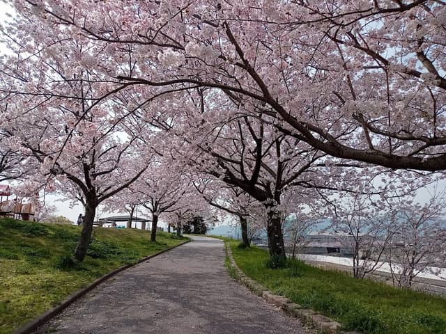 Yoshida Taiyô no oka Park - Image 1
