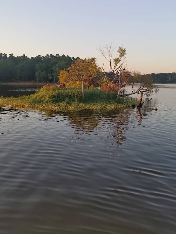 Goat Island - Image 1