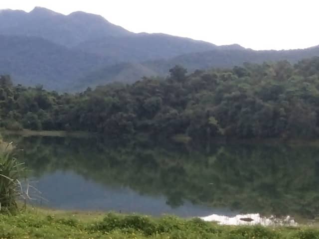 Annakkuttan Chal അണ്ണക്കുട്ടൻചാൽ - Image 1