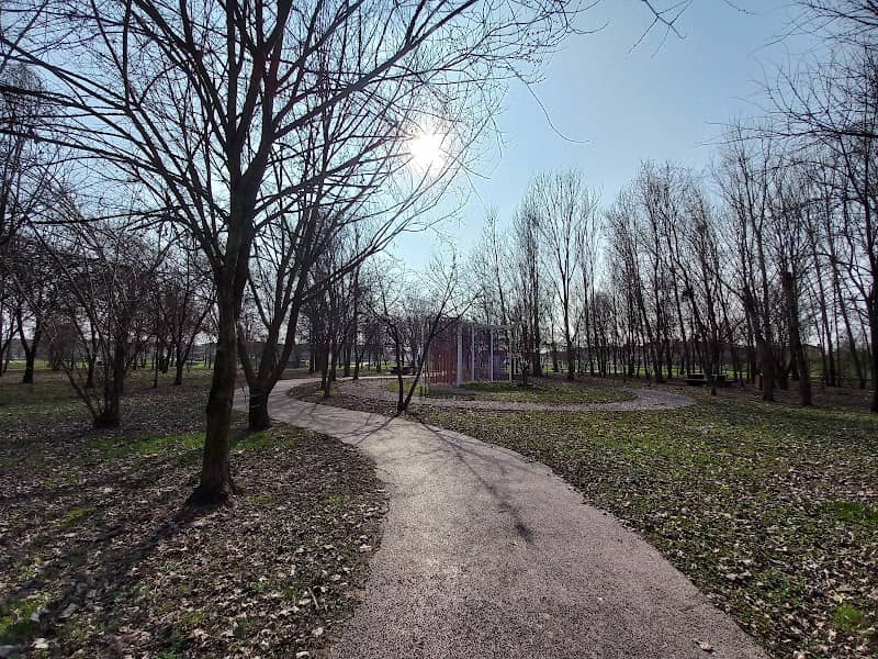 Kaki Tree Project - Image 2