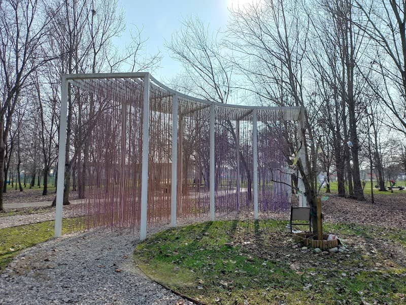 Kaki Tree Project - Image 1