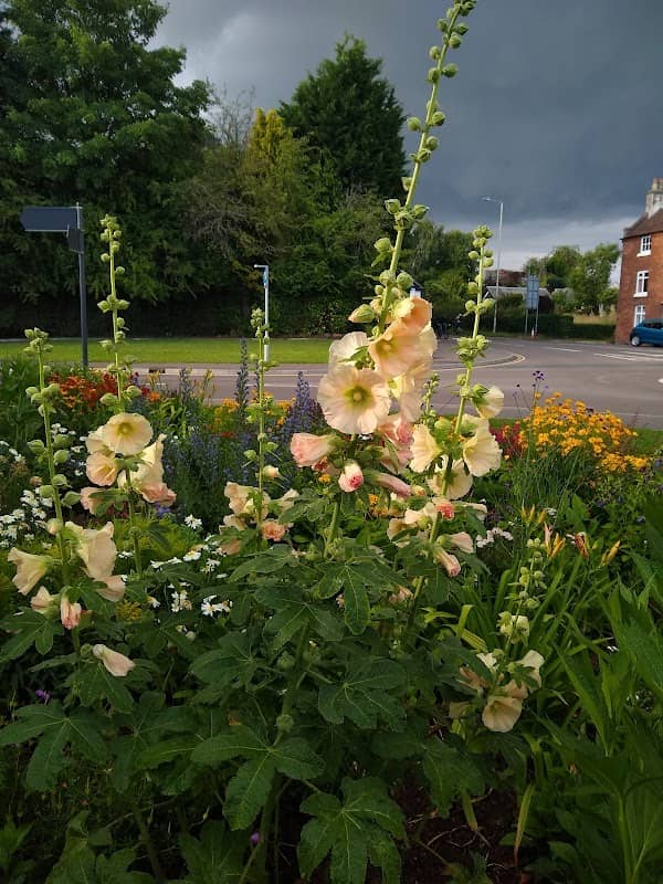 Haversham Gardens - Image 2