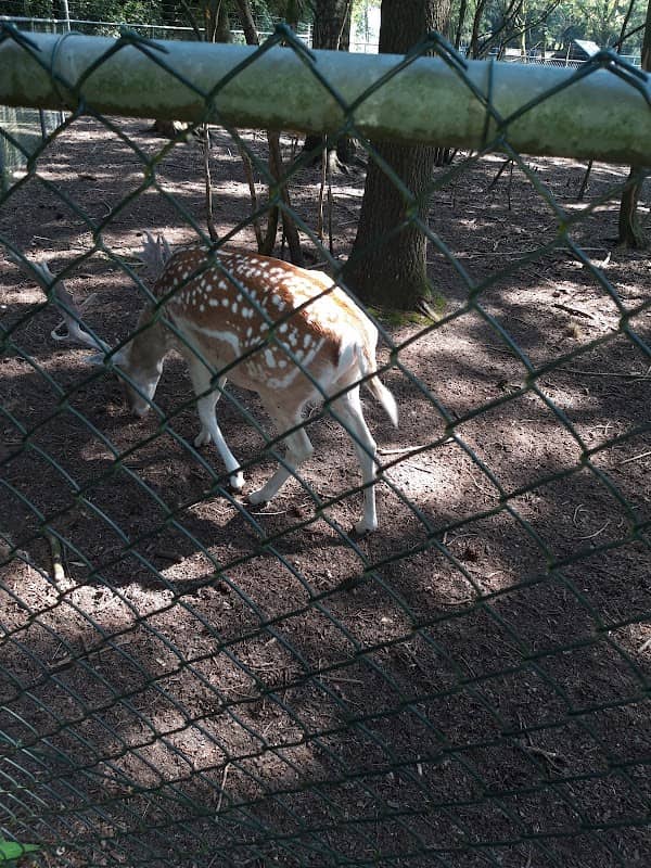 Dierenweide De Wenke - Image 1