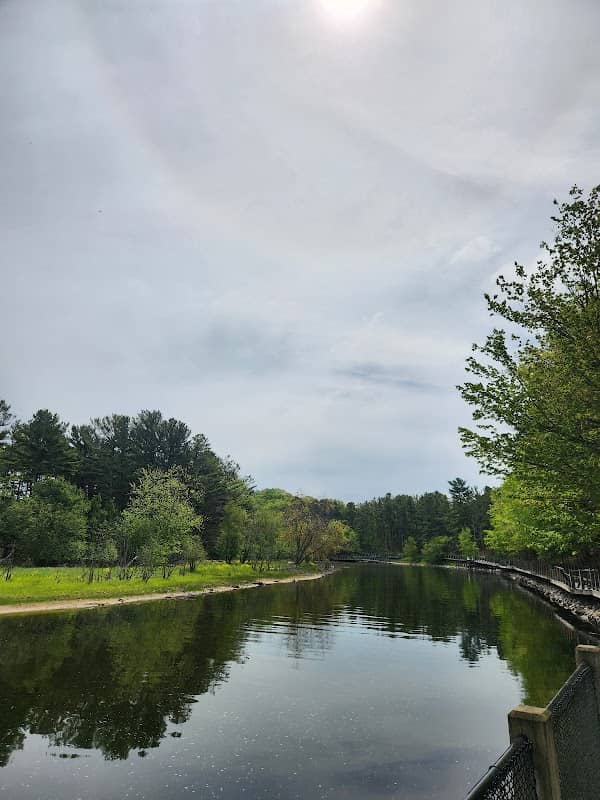Ludington State Park Big Sable River Boardwalk - Image 1