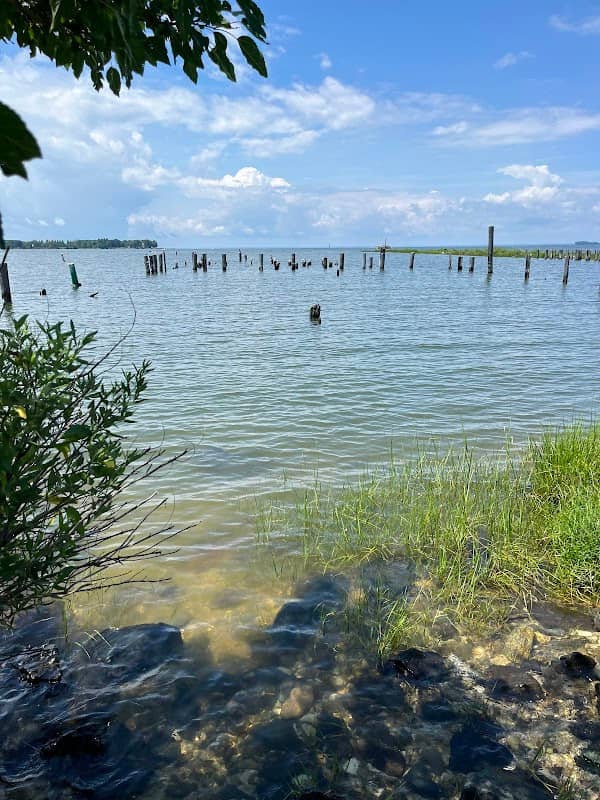 Claiborne Jetty - Image 2