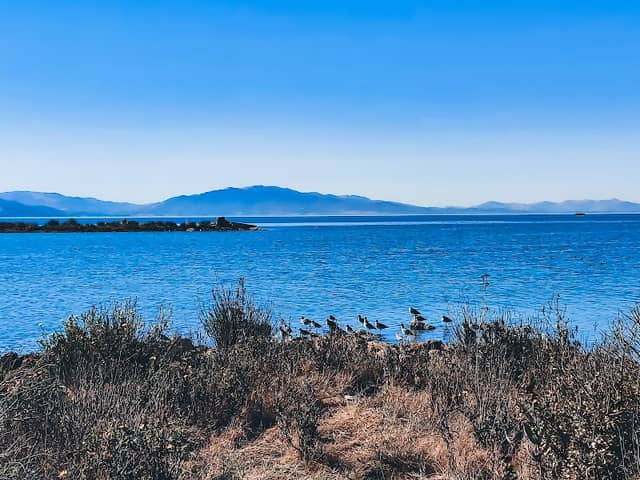 Point Pinole Regional Park - Dotson Family Marsh - Image 2