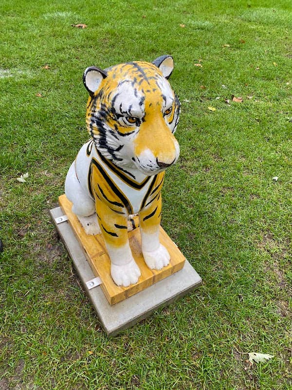 Rocket the Tiger - Image 1