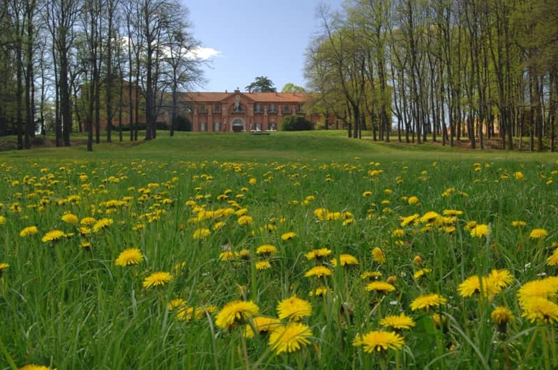 Castello de La Mandria - Image 3