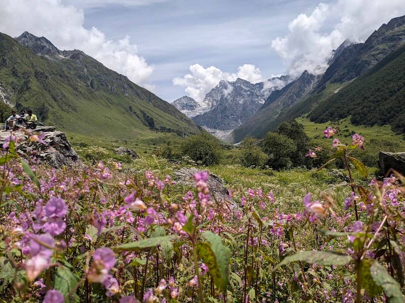 Valley of Flowers, The Paradise on Earth - Image 1