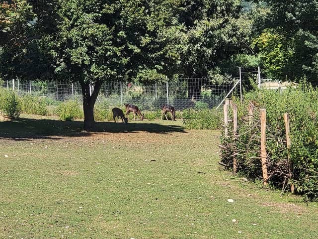Hirsch Park - Image 2