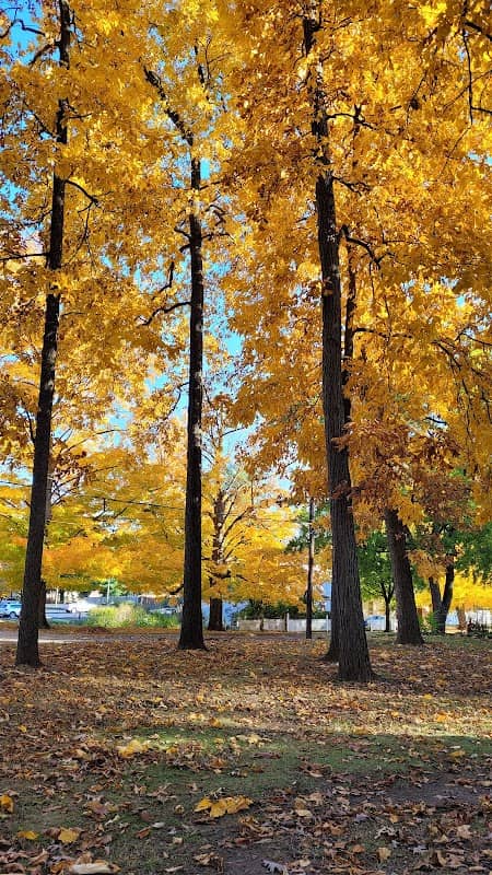Kathryn Park - Image 2