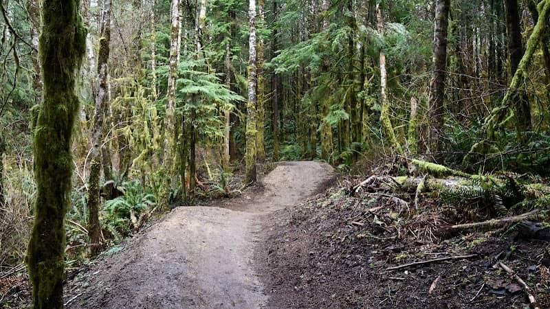 Big Creek Park - Image 2