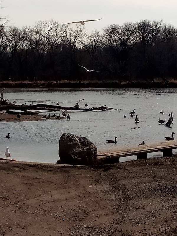 Cedar Bend Park - Image 1