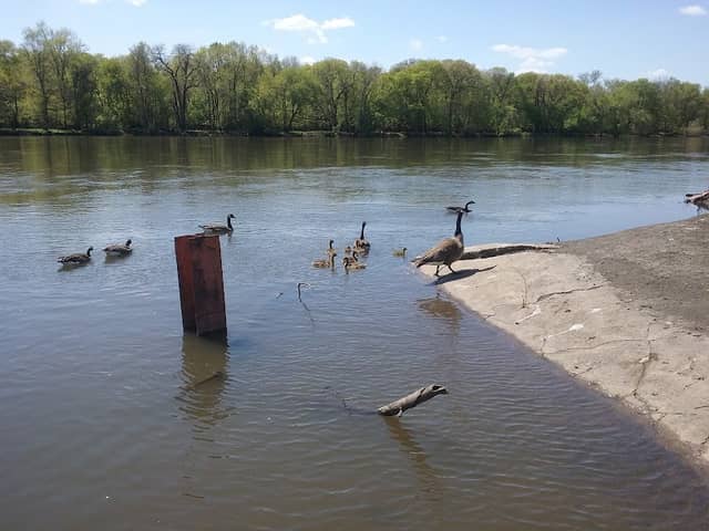 Cedar Bend Park - Image 2