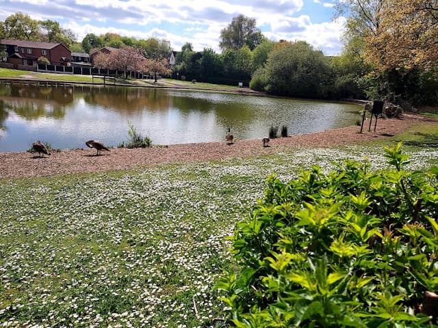 Leegomery pool - Image 1