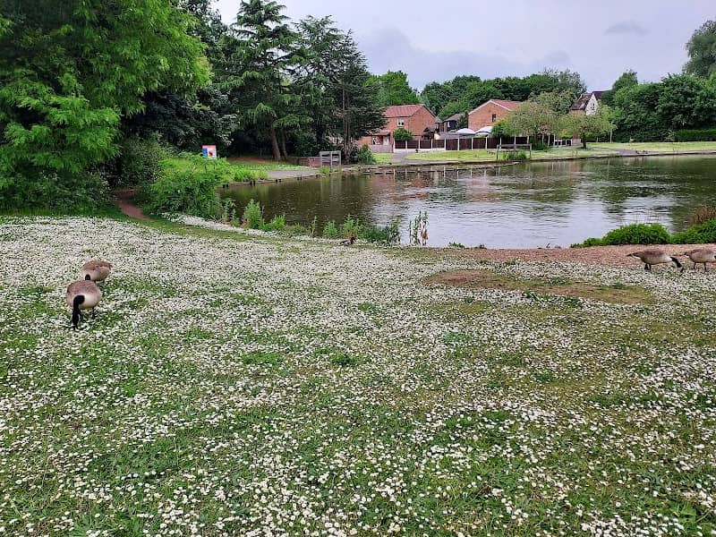 Leegomery pool - Image 2