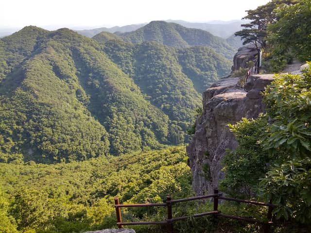 허백련과 춘설헌 - Image 1