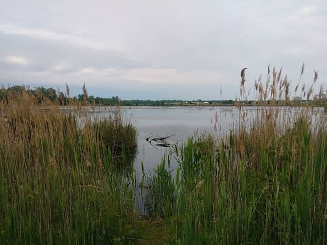 McIntyre Park - Image 2