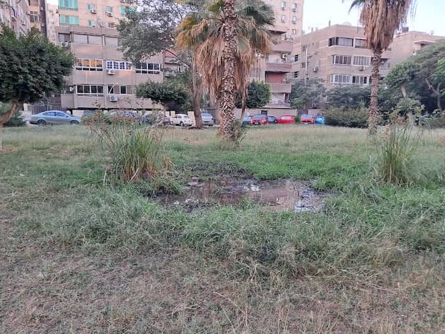 Yaya’sPark - Image 1