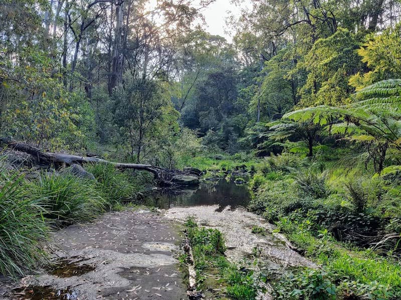 North Rocks Wildlife Sanctuary - Image 1