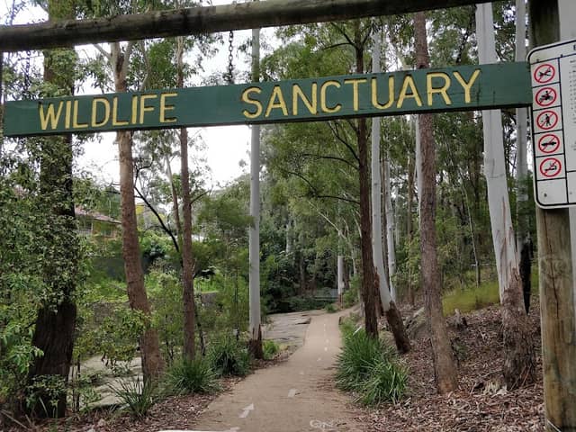 North Rocks Wildlife Sanctuary - Image 2
