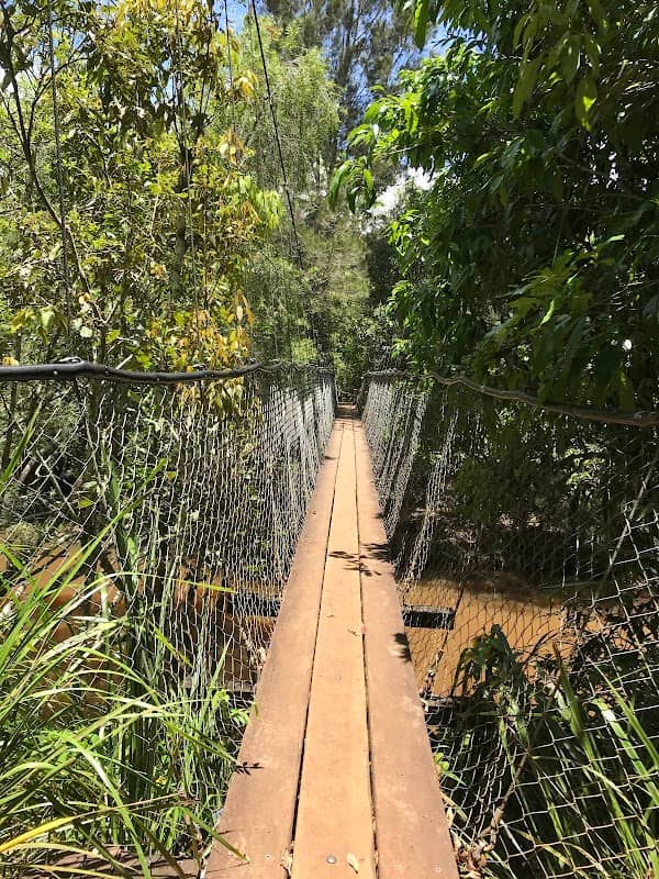 Peterson Creek – Wildlife & Botanical Walking Track - Image 1