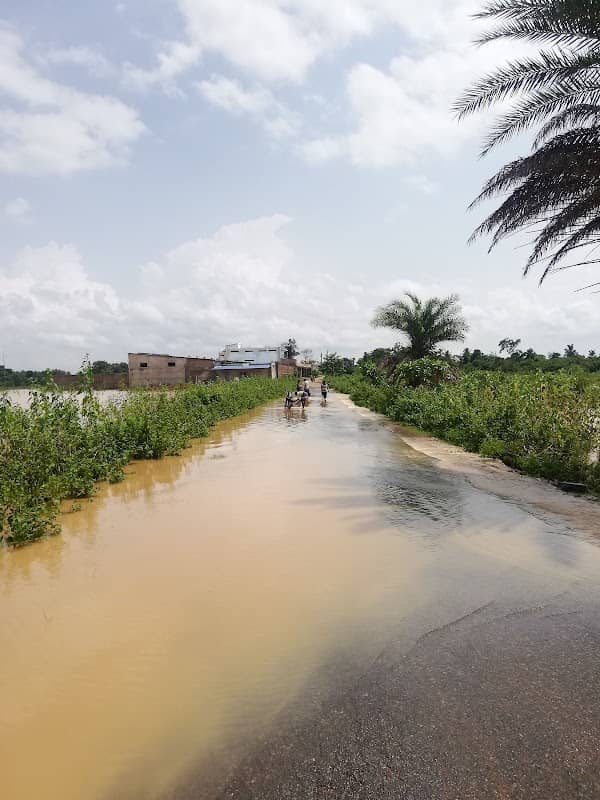 Chhepraguda- Indrawati flood zone - Image 1