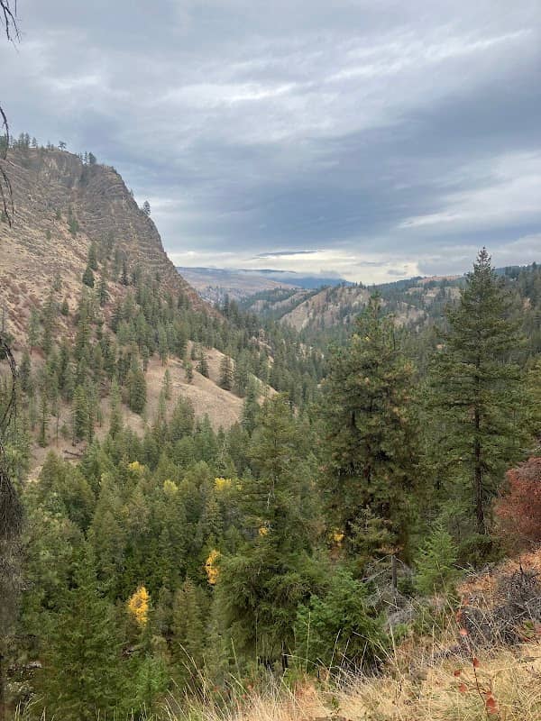 The Greenway - Image 1