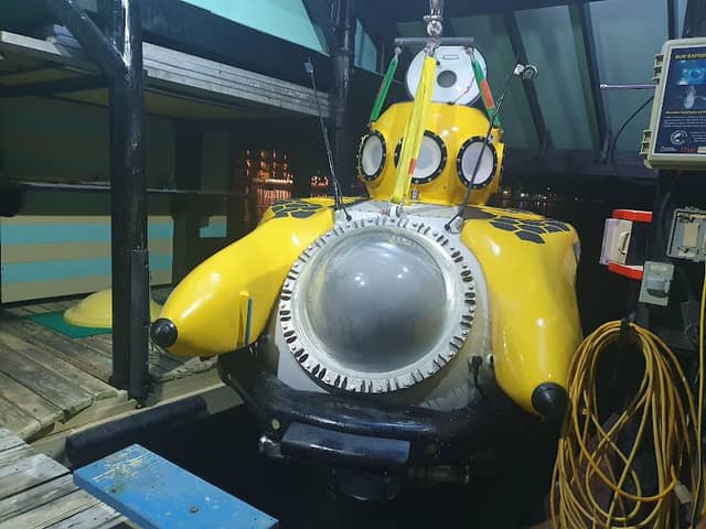 Stanley Submarines - Image 1