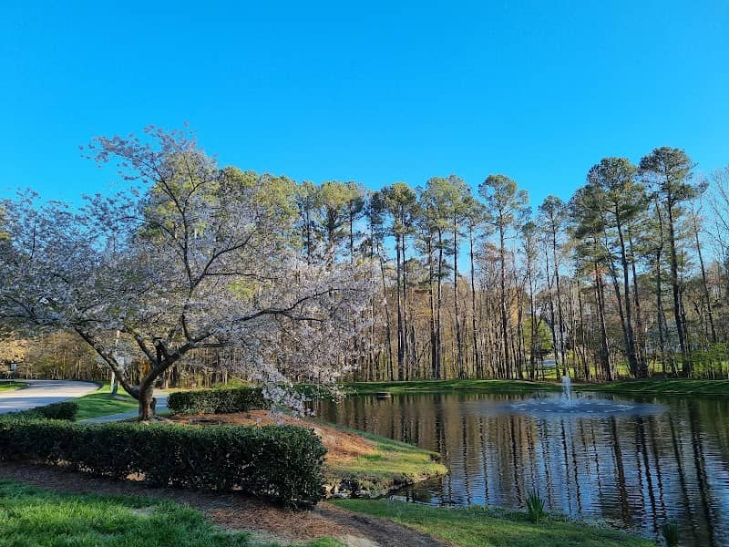 White Oak Creek Greenway - Image 1