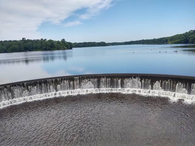 Parvin State Park - Image 1