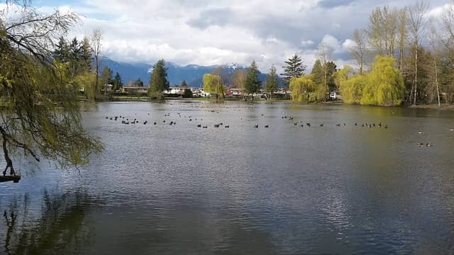 Sardis Park - Image 2