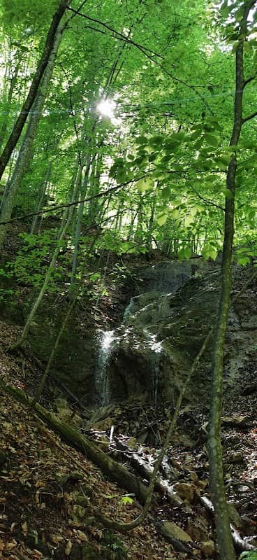 Kleiner Wasserfall - Image 2
