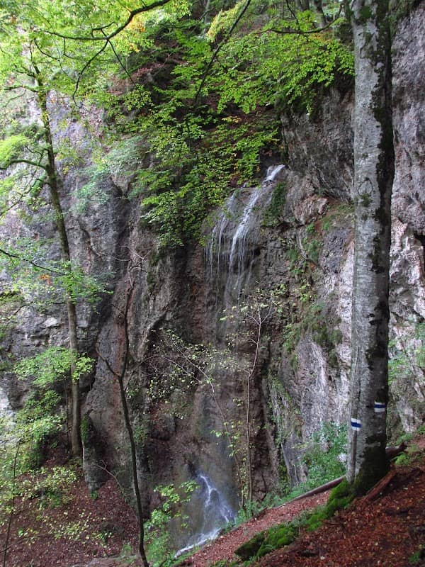Kleiner Wasserfall - Image 1