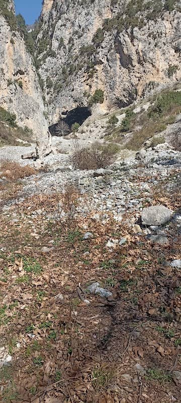 Deve tüneli yürüyüş alanı - Image 1