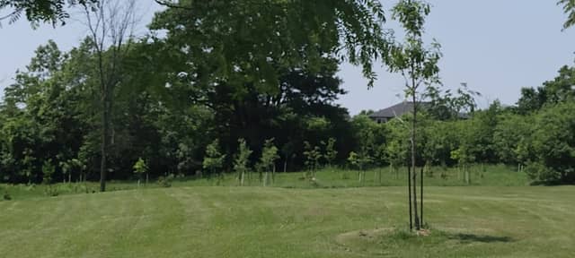 Snider Park - Image 1