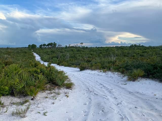 Lake Wales Ridge Wildlife Refuge - Image 1