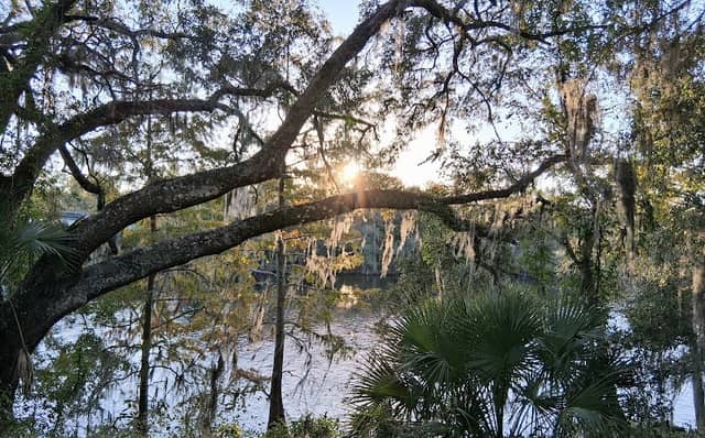 fanning spring park - Image 1