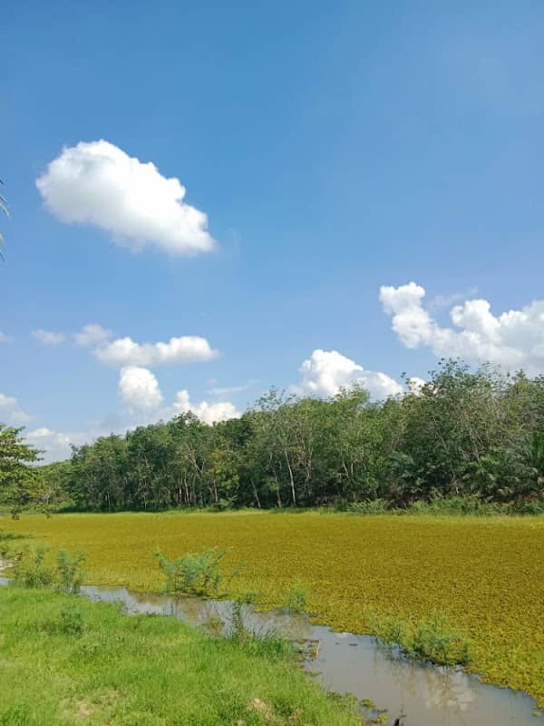 DEWI REBUNG (Desa Wisata Rengas Bandung) - Image 1