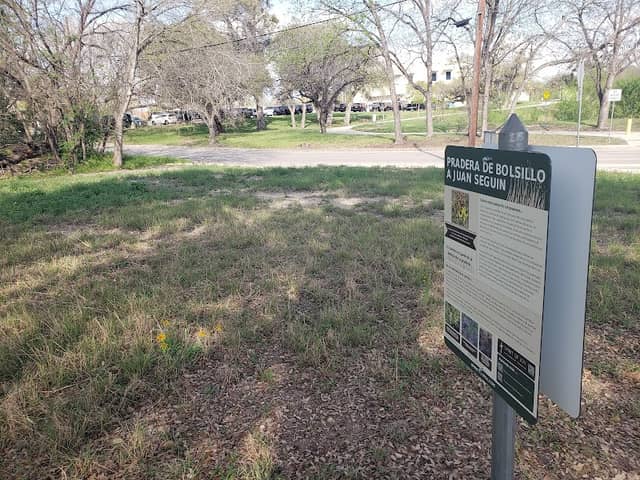 Pocket Prairie at Juan Seguin - Image 2