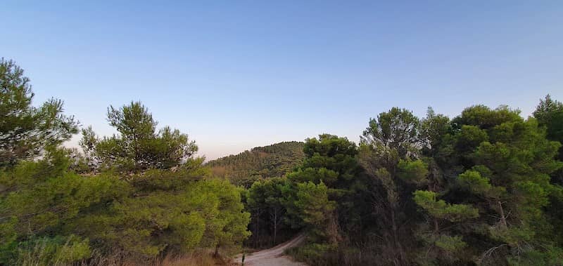 Riserva Naturale Sinapa - Image 1