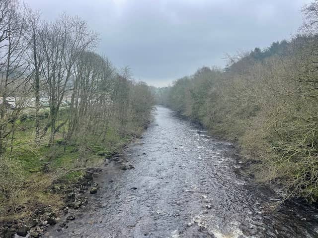National Trust - Round Howe & Hudswell Woods - Image 2