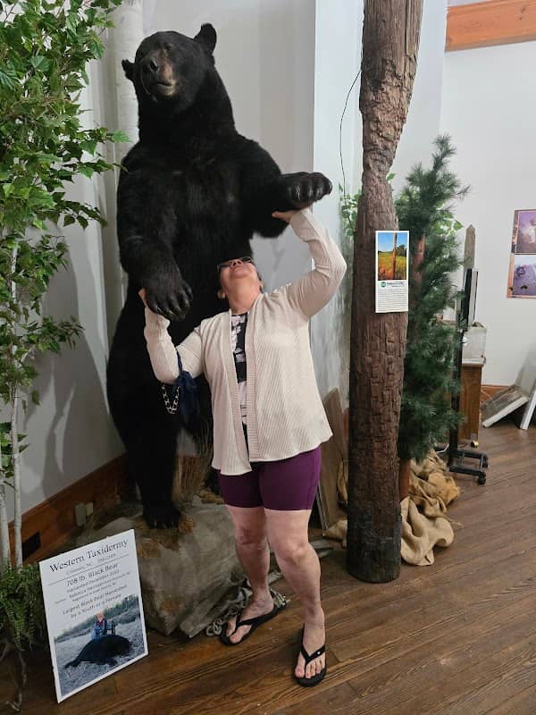Bear-ology - Image 1