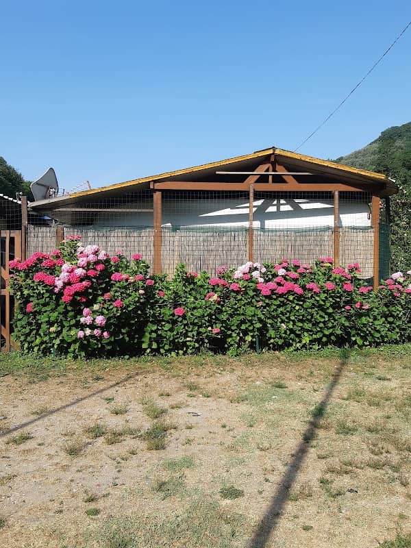 Camping Paradiso - Image 1
