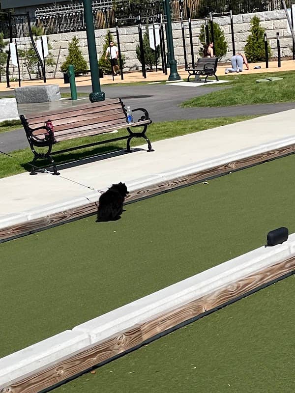 Sullivan Park - Image 1