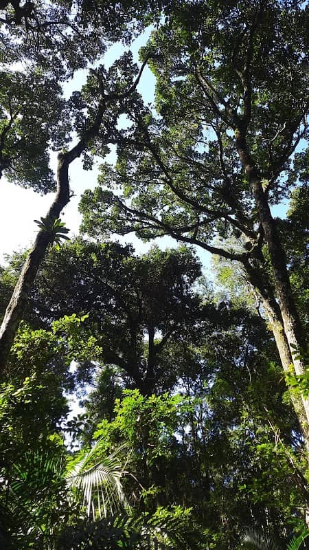Jardim Botânico de Bombinhas - Image 1