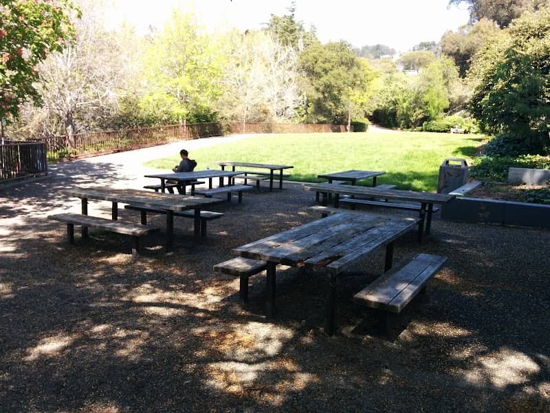 Cerrito Vista Park - Image 2